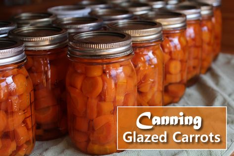 Jarred Carrots, Bottled Carrots Recipe, Canning Glazed Carrots, Canning Candied Carrots, Carrot Recipes For Canning, Canning Carrots Pressure, Carrots Canning Recipes, Carrot Canning Recipes, Canned Carrot Recipes