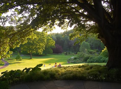 Pleasure Garden, Castle Window, Magical Landscape, American Garden, Country Manor, New York Museums, Country Retreat, Shenandoah Valley, Public Garden