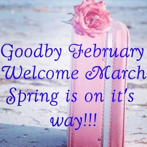 Let Spring begin! Hello March Quotes, Goodbye February, February Hello, Welcome March, Morning Smile, March Quotes, Hello March, Blessed Sunday, Days And Months