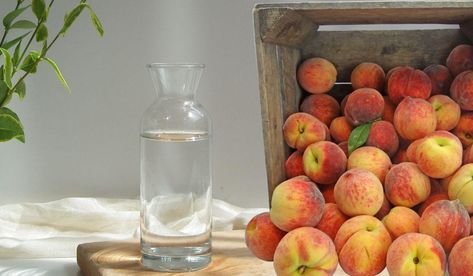 How to Make Peach Brandy? Easy Homemade Peach Brandy Recipe Peach Brandy Recipe, Brandy Recipe, Art Restaurant, Alcohol Drink Recipes, Restaurant Recipes, Brandy, Easy Homemade, Alcoholic Drinks, Craft Projects