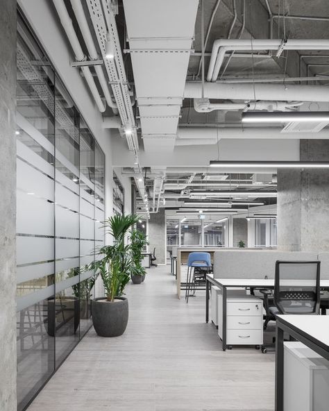 Office Interior Design Grey And White, White Office Building, White Modern Office, Architect Office Interior, Loft Ceiling, Lawyer Office, Office Ceiling, Industrial Office Design, Open Ceiling