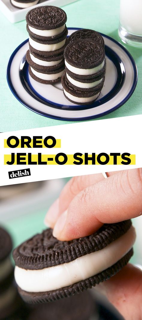 Jello Shots Ideas, Oreo Frappe, Jello Pudding Shots, Jell O Shots, Trendy House, Pudding Shots, Jello Shot Recipes, Jello Shot, Boozy Desserts