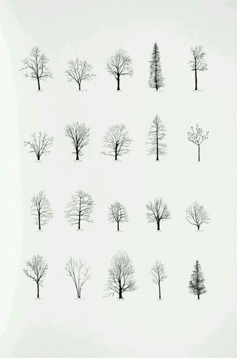 | We Heart It, Tree Tattoo Designs, Tree Designs, Tattoo Ideas, Tree Drawings, Drawing Trees, Tree Tattoos, Hot Tattoos, Black And White Drawing Simple Birch Tree Tattoo, Archi Tree Drawing, Different Types Of Trees Sketches, 심플한 그림, Sleeve Tattoo, Trees, Tree Tattoo, Tree Drawing, Tree Art