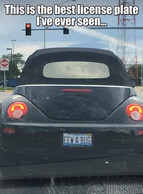 License Plate Ideas, Cool License Plates, Funny License Plates, Plate Ideas, Guild Wars 2, Vanity Plate, Guild Wars, Road Rage, Morning Humor