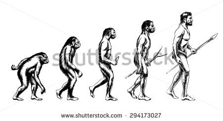 Neanderthal Stock Photos, Images, & Pictures | Shutterstock Monkey To Human Evolution, Human Evolution Drawing, Human Evolution Illustration, Evolution Illustration, Evolution Drawing, Darwin Evolution, Evolution Tattoo, Human Body Shape, Theory Of Evolution