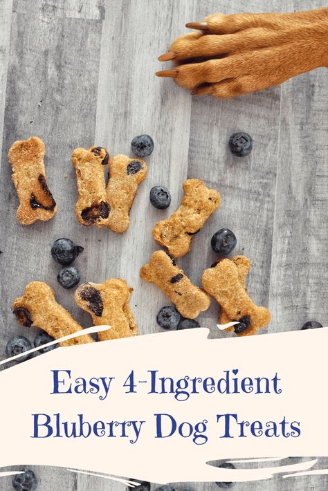 Easy 4-Ingredient Blueberry Dog Treats - Sprinkles & Sea Salt Blueberry Dog Treat Recipe, Blueberry Dog Treats, Doggie Cake, Homemade Dog Cookies, Pet Treats Recipes, Dog Treats Homemade Easy, Easy Dog Treat Recipes, Doggy Treats, Dog Biscuit Recipes