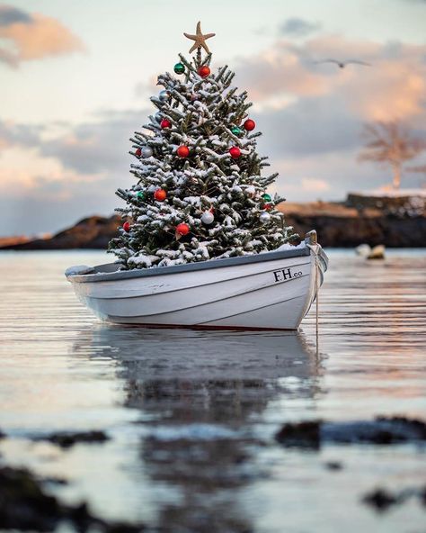 New England Photography 📷 on Instagram: “❄️Photo of the day!❄️ Today's gorgeous photo comes from: @cpphotography328  Stunning capture from Marblehead, Massachusetts! 🎄🛶 Selected by…” Christmas Instagram Pictures, New England Christmas, Coastal Christmas Tree, Picture Tree, Beachy Christmas, Nautical Christmas, Merry Christmas Pictures, Beach Christmas, White Christmas Decor