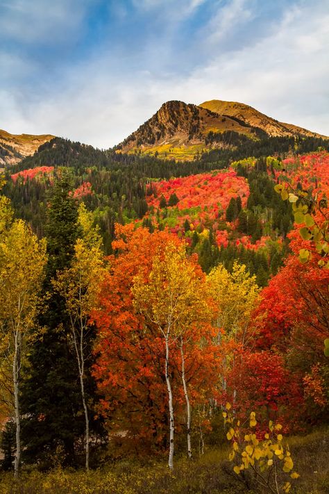 Fall Locations, Fall In Utah, Utah In The Fall, Utah Fall, Fall Mountains, Utah Autumn, Fall Landscape, Park City Utah Fall, Fall In Park City Utah