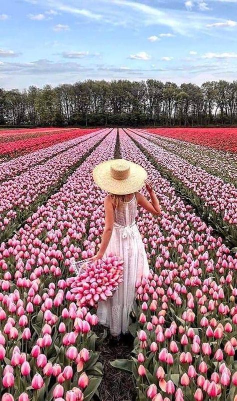 Flower Farms, Theme Photoshoot, Spring Photoshoot, Flower Photoshoot, Tulip Fields, Beautiful Blooms, Flower Field, Beach Girl, Amazing Flowers