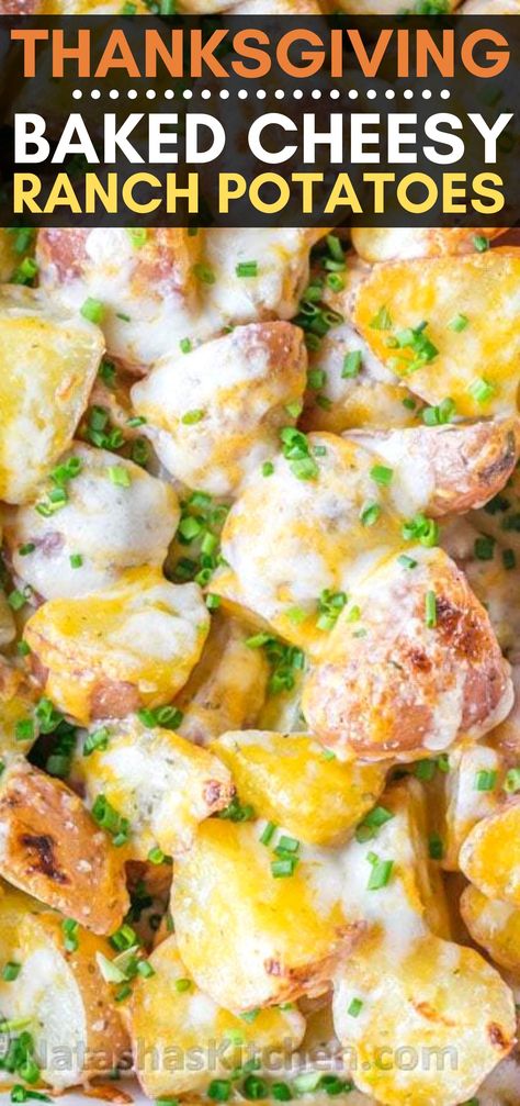 Thanksgiving baked cheesy ranch potatoes are the ultimate holiday side dish - These baked ranch potatoes have just 4 ingredients and they’re perfect for a holiday and a unique and delicious meal #thanksgiving #menu #potatoes #sidedish Cheesy Ranch Potato Casserole, Cheesy Ranch Potatoes Bake, Cheesy Red Potatoes, Ranch Dressing Potatoes, Ranch Potatoes Baked, Cheesy Ranch Potatoes, Cheesy Ranch, Potatoes Baked, Southern Thanksgiving Menu