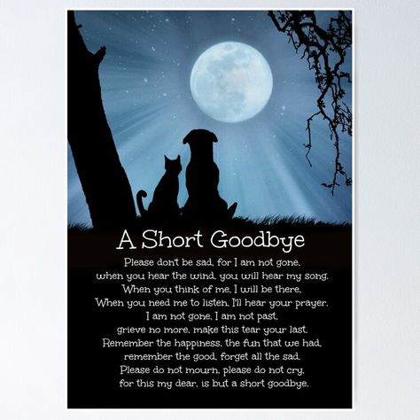 "Dog Cat Memorial Sympathy Tribute Spiritual Poem" Greeting Card for Sale by Stephanie Laird | Redbubble Loss Of A Dog Sympathy, The Loss Of A Dog, Loss Of A Dog, Dog Heaven Quotes, Spiritual Poems, Poem Poster, Silly Words, Heaven Quotes, Dog Sympathy