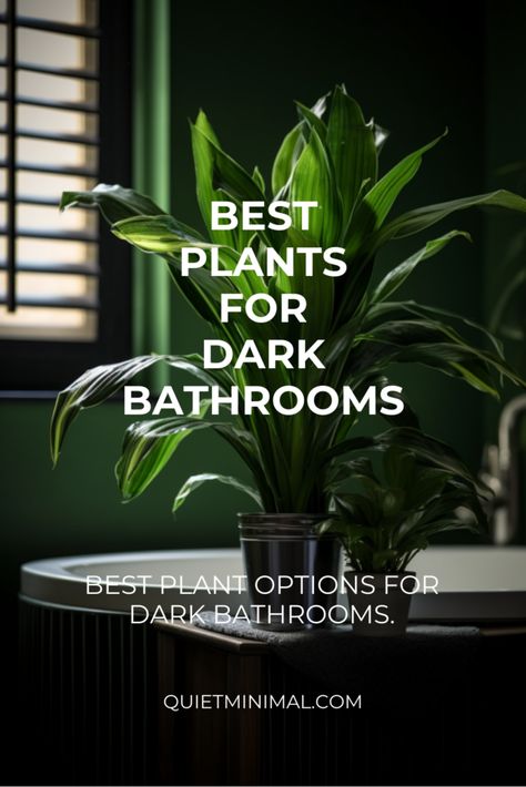 Discover low-light plants that thrive in the warm, humid conditions of your bathroom. From pothos to ZZ plants, find the perfect match. #HumidityLovers #LowLightPlants #BathroomDecor #IndoorGreenery Pothos Plant Bathroom, Green Bathroom Plants, Pothos In Bathroom, Bathroom Plant Ideas, Dark Bathroom Plants, Plants For Dark Bathroom, Bathroom Ideas Plants, Lowlight Plants Bathroom, No Light Plants Indoor Bathroom