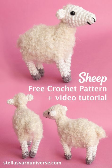 Sheep Free Crochet Pattern with video tutorial Crochet Sheep Free Pattern, Sheep Crochet Pattern, Sheep Crochet, Crochet Toys Free Patterns, Crochet Sheep, Crochet Toys Free, Crochet Animals Free Patterns, Haken Baby, Knitted Animals