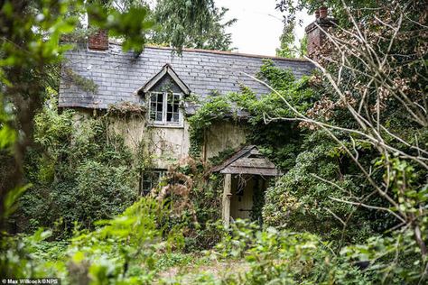 Abandoned Cottage, Hansel And Gretel House, Witch's House, Old Abandoned Houses, Broken Window, Cottage In The Woods, Old Cottage, Witch House, Sims House