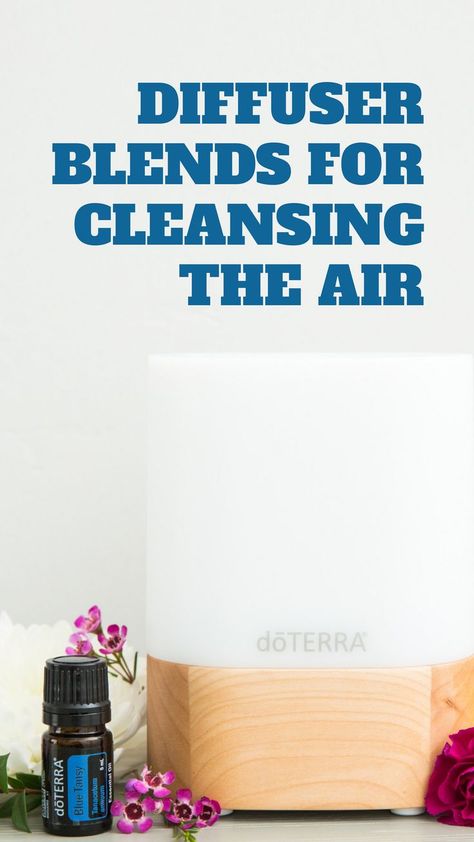 Air Purifying Diffuser Blend, Nontoxic Living, Doterra Breathe, Doterra Diffuser, Doterra Diffuser Blends, Doterra Oil, Essential Oil Safety, Essential Oils For Kids, What Are Essential Oils