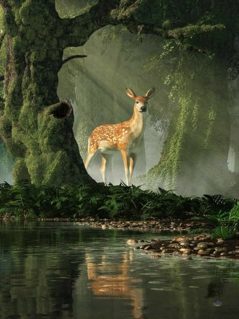 Deer Photography, A Deer, 판타지 아트, Nature Aesthetic, Wildlife Art, In The Forest, Fantasy Landscape, Animal Paintings, Nature Pictures