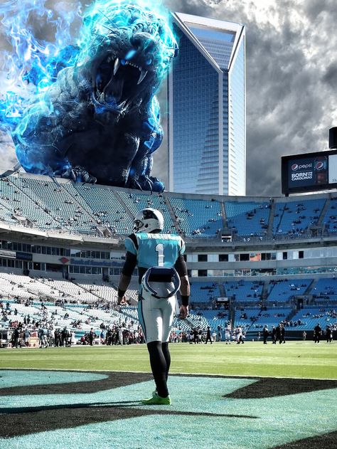 Nfl Football Wallpaper Iphone, Cam Newton Wallpaper, Nfl Pfp, Panthers Wallpaper, Nfl Photography, Nfl Football Wallpaper Panthers, Football Pfp, Cam Newton Panthers, Carolina Panthers Wallpapers