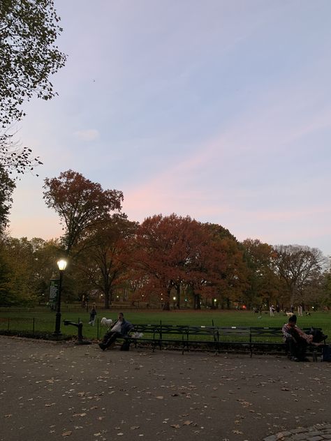 Central Park Aesthetic Night, City Park Aesthetic, Park Aesthetic Night, New York Fall Aesthetic, Parque Aesthetic, Central Park Bench, Central Park Aesthetic, New York City Fall, Movie Scrapbook