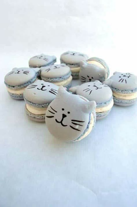 Kue Macaroon, French Macaroons, Cat Cookies, Cat Wedding, Macaroon Recipes, Cat Birthday Party, Cute Baking, Macaron Recipe, Cat Cake