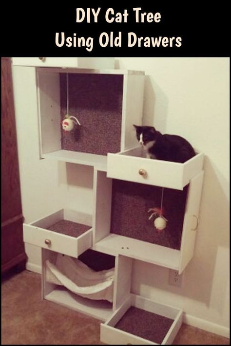 Upcycle your old old drawers and turn them into a cat tree for your beloved pets. Katt Diy, Grumpy Cats, Kat Diy, Diy Cat Tree, Cat House Diy, Cats Diy Projects, Old Drawers, Diy Drawers, Cat Playground