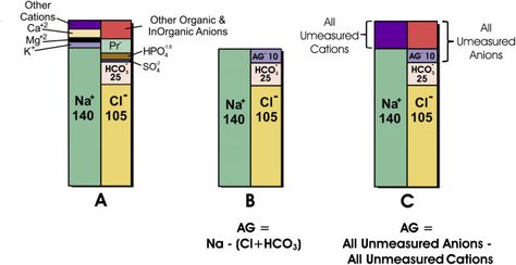 (anion gap) Anion Gap, Medical Laboratory Science, Laboratory Science, Medical Laboratory, Cardiovascular System, Bar Chart, Nursing, Gap, Medical