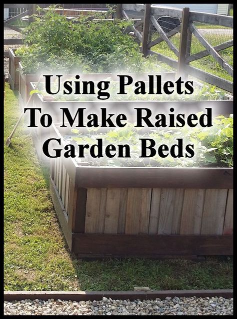 Make Raised Garden Beds, Garden In Raised Beds, Making Raised Garden Beds, Build A Raised Garden Bed, Growing A Garden, Raised Bed Garden Design, Building Raised Garden Beds, Vegetable Garden Raised Beds, Building A Raised Garden