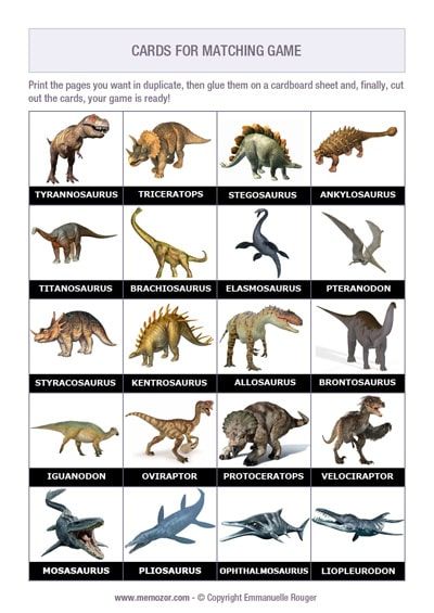 Different Types Of Dinosaurs, Dinosaur Flash Cards Free Printable, Pictures Of Dinosaurs, Matching Games For Kids, Dinosaur Identification Chart, Dinosaurs Names And Pictures, Types Of Dinosaurs Chart, Dinosaur Chart With Names, Names Of Dinosaurs