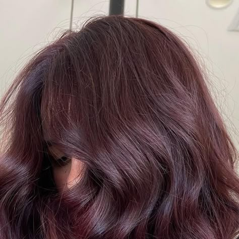 Light Brown Plum Hair, Cherry Brown Hair Aesthetic, Reddish Purple Brown Hair, Purple Light Brown Hair, Hair Colours For Dark Hair, Subtle Burgundy Hair, Dark Reddish Purple Hair, Light Purple Brown Hair, Cherry Red Dark Hair