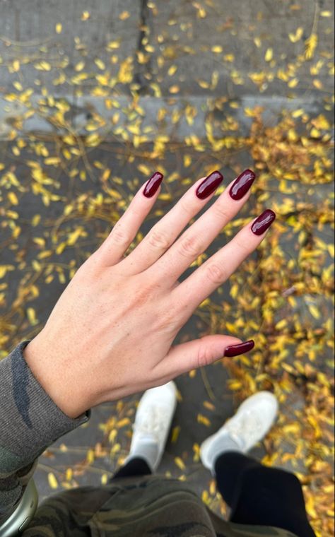 Dark Red Nails, Cherry Nails, Autumn Nails, Beige Aesthetic, Red Aesthetic, Polish Girls, Red Nails, Stylish Nails, Arm Warmers