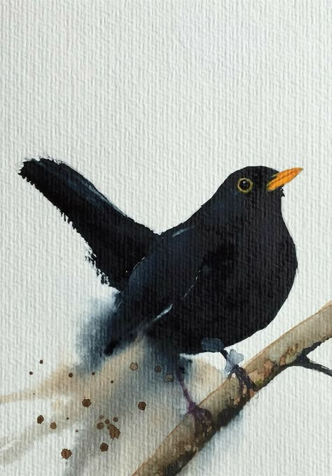 Blackbird Art, Bird Watercolor Paintings, Bird Watercolor, Watercolor Birds, Bird Pictures, Bird Drawings, Bird Photo, Watercolor Bird, Watercolor Animals