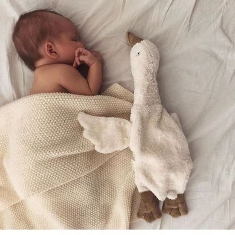 MIRLE AND TESS 🌙 on Instagram: “G O O D N I G H T 🌗 We just love this capture of @lou_and_co her little one with the amazing Senger Naturwelt swan. These cute swans and…” Coral Pantone, Big Plush, Foto Baby, Future Kids, Future Baby, Little People, Baby Fever, Baby Pictures