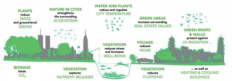 A city without ecosystem services is neither attractive nor alive. Creating, protecting and developing ecosystem services in urban areas can reduce ecological footprints while enhancing resilience and improving health and quality of life. By incorporating green spaces with plants and water courses, we can establish urban ecosystem services. Green-blue structures, the ground they rest on, and the animals, birds and insects that live there will provide us with the ecosystem services we need. Green Ecosystem Services, Home Fountain, Urban Gardens, Concept Models Architecture, Eco Architecture, Ecological Footprint, Ya Allah, Architecture Drawing Art, Green Roof