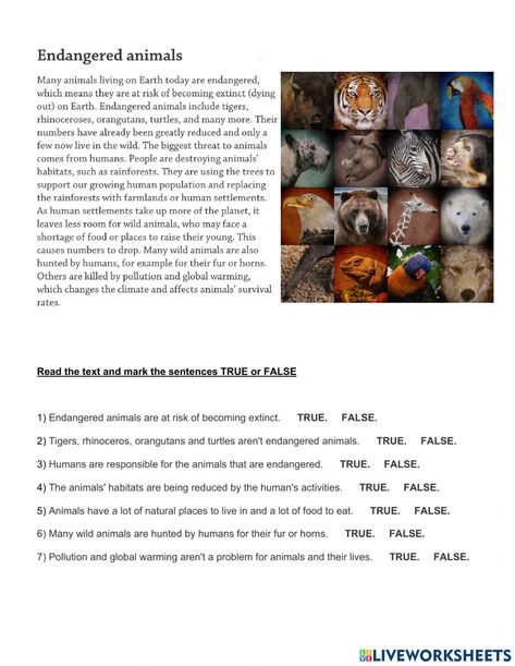 Endangered animals interactive exercise for Quinto de Primaria. You can do the exercises online or download the worksheet as pdf. Endangered Animals Lessons, Endangered Species Activities, Endangered Animals Activities, Animal Lessons, Animal Worksheets, 2nd Grade Math Worksheets, Human Settlement, The Worksheet, Animal Activities