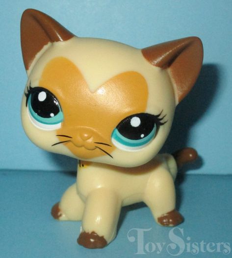 Lps Shorthair Cat, Cat Checklist, Lps Shorthair, Rare Lps, Cute Lps, Lps Cats, Lps Popular, Handprint Ornaments, Littlest Pet Shops