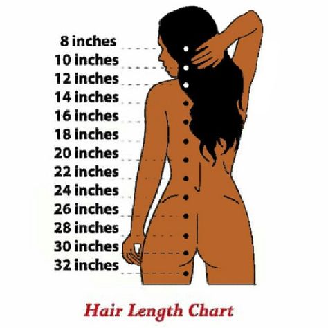 Hair length chart Hair Inches Chart, Stem Hairstyles, Wig Tools, Hair Growth Chart, Week Hairstyles, Hair Length Guide, Quotes Rainbow, Wig Business, Hair Inches