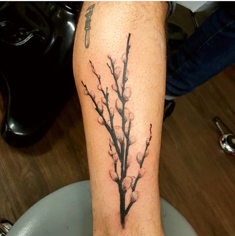 Pussywillow Tattoos, Willow Tattoo, Faith Tattoos, Tree Tattoo Meaning, Willow Tree Tattoos, Rose Shoulder Tattoo, Branch Tattoo, Circle Tattoo, Faith Tattoo