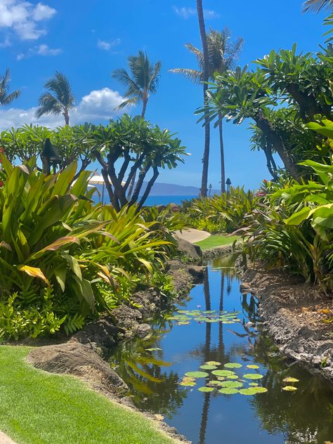 Hawaii Villa, Island Vibes Aesthetic, Wailea Maui, Wailea Beach, Hawaii Pictures, Island Vibes, Dream Travel Destinations, Tropical Landscaping, Tropical Islands