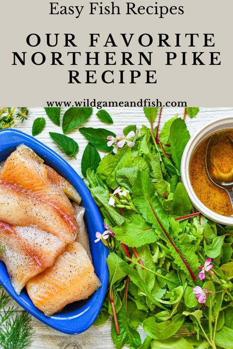 Northern Pike and Radish Greens Salad Northern Pike Recipe, Easy Fish Dinner, Pike Recipes, Easy Fish Dinners, Radish Greens, Greens Salad, Venison Steak, Adobo Recipe, Northern Pike