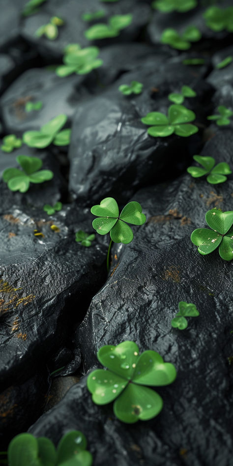 Luck Wallpaper Iphone, Good Luck Wallpaper Iphone, Good Luck Wallpaper, Luck Wallpaper, Eco Wallpaper, Clover Wallpaper, Good Luck Clover, Nature Iphone Wallpaper, Best Nature Wallpapers