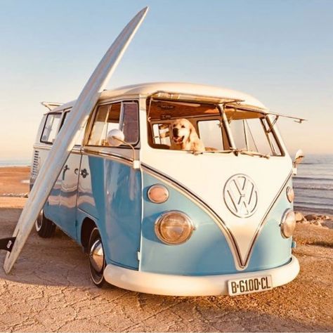 I LOVE MY COMBI - VW CAMPERVAN on Instagram: “💥 @volkswagen_combi • 📸 Awesome shoot from → @lafurgonetazul 🔍 Follow us for more daily pictures” Vans Aesthetic, T1 Bus, Volkswagen Vans, Campervan Rental, Image Moto, Volkswagen Van, Vintage Vw Bus, Beach Cars, Surf Vibes