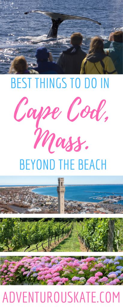 Cape Cod To Do, Day Trip To Cape Cod, Cape Cod Fall Vacation, Cape Cod Day Trip, Cape Cod October, Cape Cod Massachusetts Things To Do, Fall Cape Cod, Cape Cod In The Fall, Cape Cod Things To Do Summer