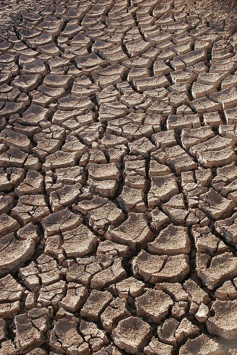 Sonora Desert, Mexico California Drought, Sonora Desert, Agriculture Industry, Sonoran Desert, Colorado River, Sunset Wallpaper, Water Conservation, Natural Phenomena, Ancient Egyptian