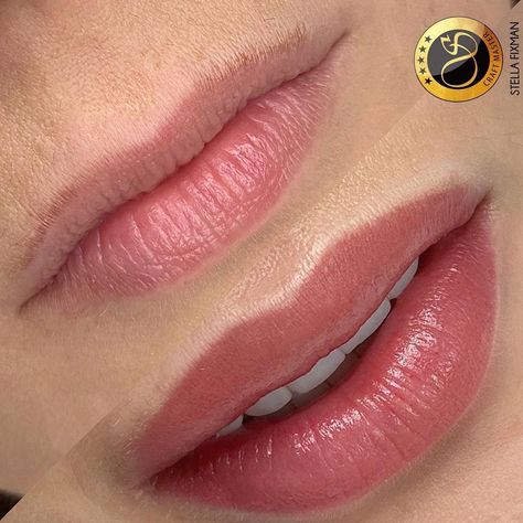 Tatto Lips, Lip Color Tattoo, Lip Liner Tattoo, Lip Permanent Makeup, Lip Blushing, Lips Inspiration, Permanent Makeup Eyeliner, Permanente Make-up, Permanent Lipstick