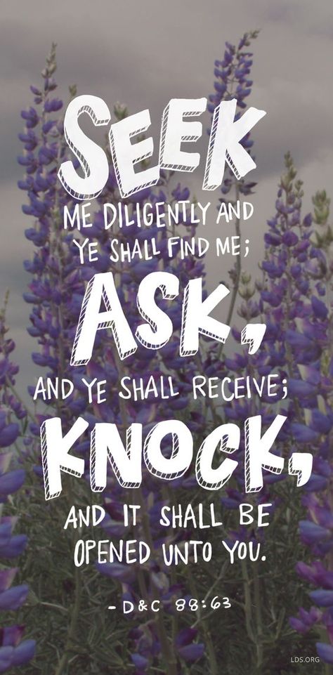 Draw near unto me and I will draw near unto you; seek me diligently and ye shall find me; ask, and ye shall receive; knock, and it shall be opened unto you. D&C 88:63 #LDS: Later Day Saints, Mormon Quotes, Lds Scriptures, Doctrine And Covenants, Seek Me, Church Quotes, Spiritual Thoughts, Lds Quotes, Scripture Study