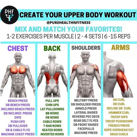 Mix and match our favorite moments to create a custom upper body workout for any goal. Upper Body Kettlebell, Upper Body Kettlebell Workout, Upper Body Workout Gym, Full Upper Body Workout, Upper Body Workouts, Upper Body Workout For Women, Healthy Calories, Workout Programs For Women, Push Workout