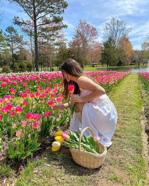 happy spring!🌷🌞🌸💕💐 #flowerfarm #tulipfarm #tulipseason #flowerfield Spring Post Instagram, Spring Gardening Aesthetic, Flower Garden Photos, Spring Pics Aesthetic, Spring Aesthetic Vibes, Tulip Farm Pictures, Spring Aesthetic Activities, Tulip Field Photos, Spring Foto Ideas