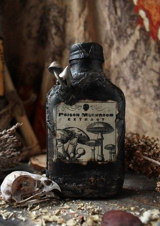 Mushrooms Halloween Potion Bottles, Halloween Bottles, Anniversaire Harry Potter, Halloween Potions, Goblin Core, Potion Bottle, Witch Aesthetic, Fantasy Aesthetic, Hallows Eve