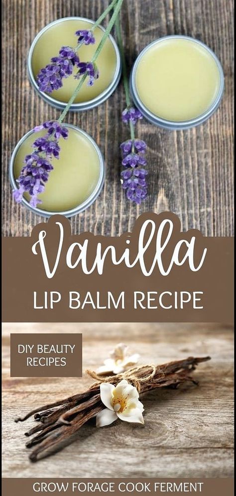 Try our Vanilla Lip Balm Recipe from our DIY beauty recipes collection. Infused with real vanilla beans and dried lavender, this homemade lip balm provides a delightful sensory experience while nourishing your lips. An excellent choice for those passionate about crafting their herbal beauty products. Discover more about herbs for health and natural remedies at growforagecookferment.com. Lavender Lip Balm, Homemade Balm, Lip Balm Recipe, Lips Essentials, Lavender Crafts, Balm Recipe, Vanilla Lavender, Vanilla Lip Balm, Herbal Salves