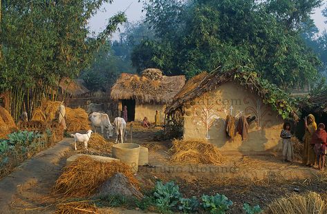 Nepal, Terai, village Mithali /// Nepal, Terai, Mithali village India Landscape, Rural Photography, Village Photos, Indian Village, Village Photography, Art Village, Scenery Photography, Photography Collection, Landscape Landscape