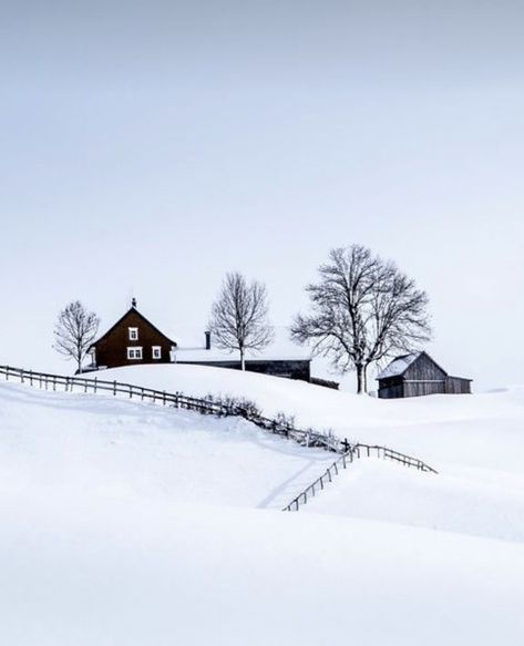 Winter Szenen, Winter Love, Winter Magic, Winter Scenery, Winter Beauty, Snow Scenes, Winter Pictures, Winter Wonder, E Card